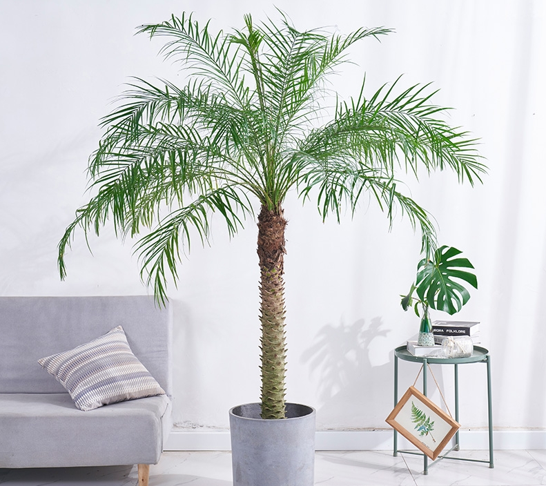 雅風(fēng)園藝致力于打造綠色辦公高素質(zhì)的管理團(tuán)隊(duì)