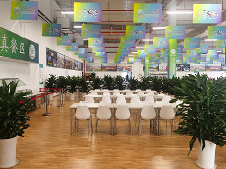 西安十四運(yùn)綠植租擺