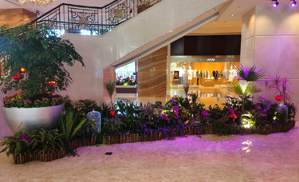 星級酒店花卉租擺應(yīng)該怎么選擇方案