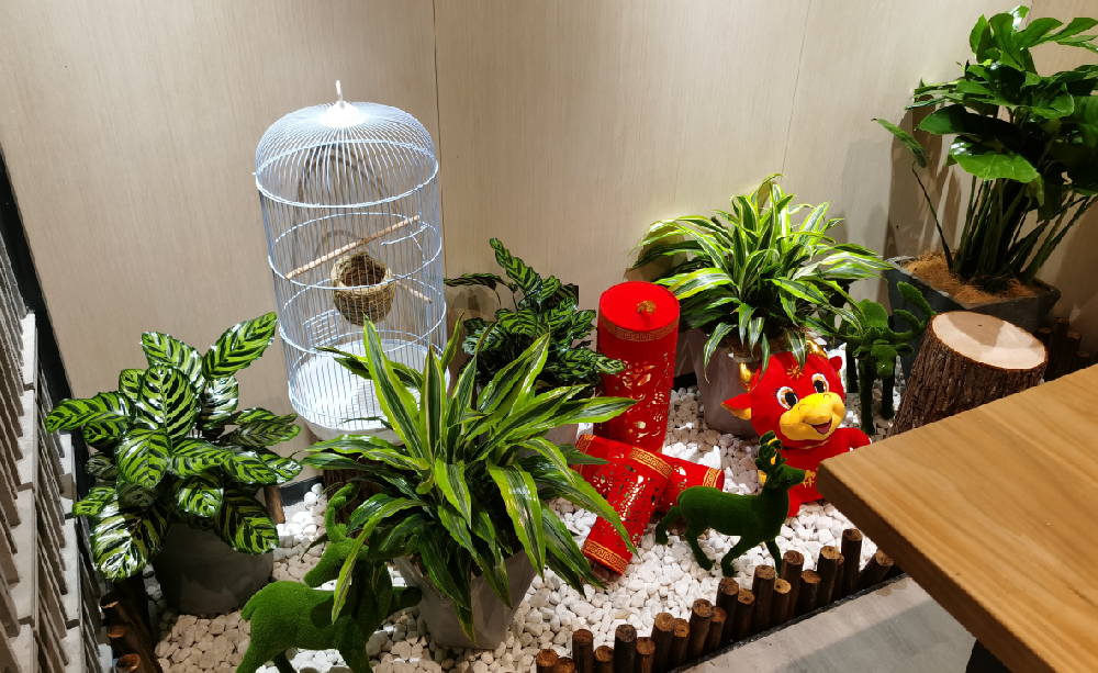 溫馨的港灣，家庭花卉租擺方案搭配