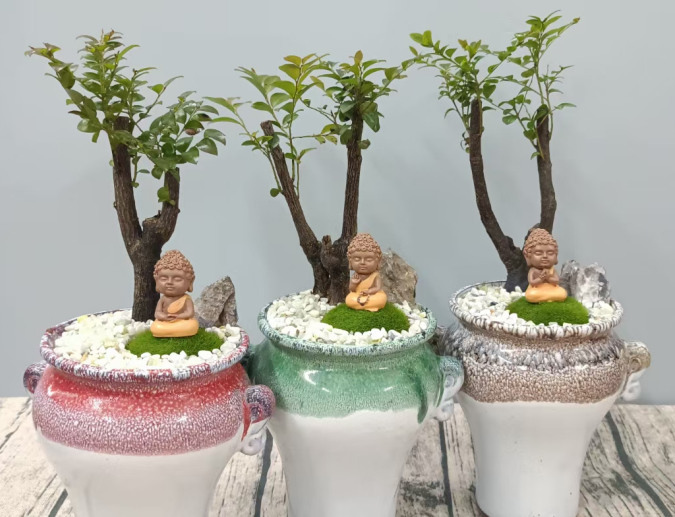 1650353132364334.png image.png