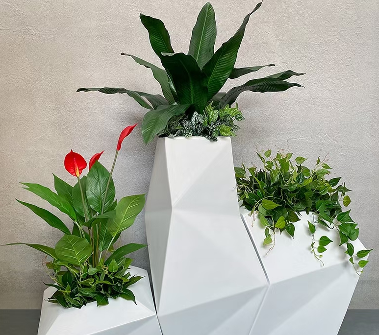 1650353329118080.png image.png