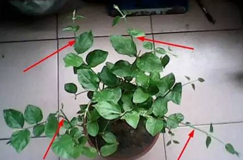 1650443567624034.png image.png