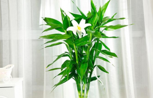 1650789045269837.png 1650789045269837.png