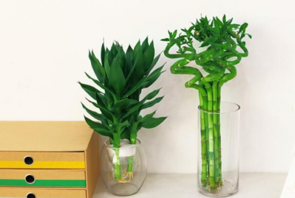 1650789075141422.png 1650789075141422.png