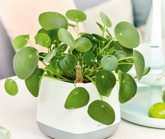 1653446474620963.png image.png