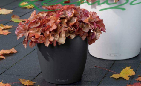 1653446758170547.png image.png